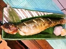 鯡魚