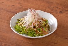 鮮蔬沙拉