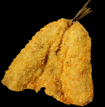 鯵魚排