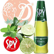 SPY Cooler