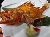 石狗公魚 石狗公魚