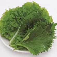 蔬菜（澆頭）
