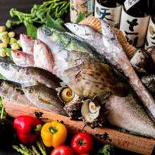 當日進貨的精選鮮魚!! 當日進貨的精選鮮魚!!