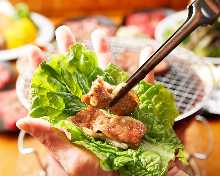 生菜