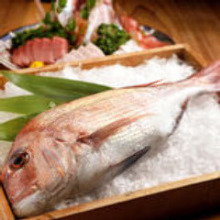 其他 煮魚、燉魚