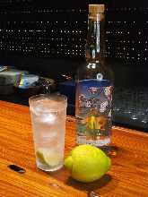 Hiroshima Lemon Gin and Tonic