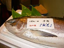 三文魚（生魚片）