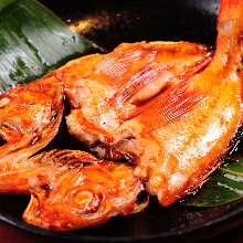 燉石狗公魚