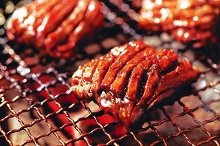 橫隔膜（兩側特定肉）