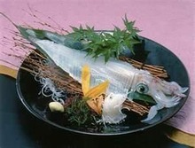 烏賊（魷魚）