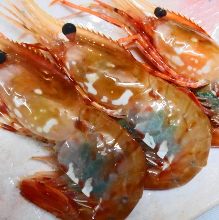 牡丹蝦(生魚片) 牡丹蝦(生魚片)