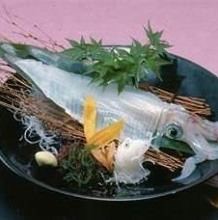 烏賊（魷魚）