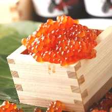 鮭魚卵蓋飯