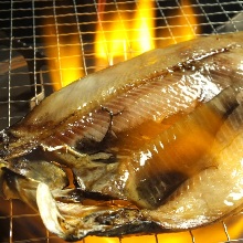 鯡魚