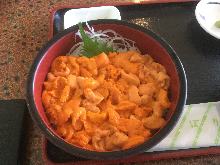 紅巴芬海膽蓋飯
