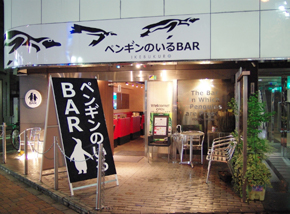體驗東京唯一的企鵝酒吧