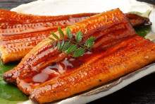 雙色烤鰻魚飯配梅子和蒲燒