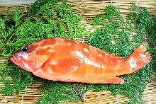 生魚片拼盤