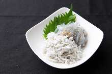 生吻仔魚(2種) 生吻仔魚(2種)