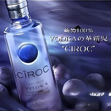 詩洛珂伏特加