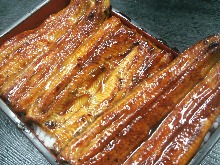 上等鰻魚盒飯