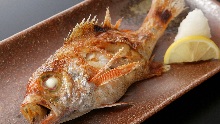 鹽烤赤鯥魚
