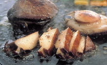 鮑魚排、烤鮑魚