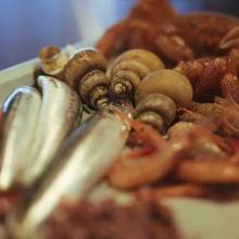 7,980日圓套餐 (8道菜)