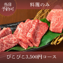 3,500日圓套餐