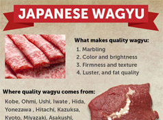 日本和牛