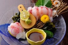 馬鮫魚（生魚片）