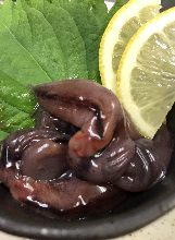 醃漬螢光烏賊