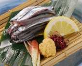 沙丁魚（生魚片）