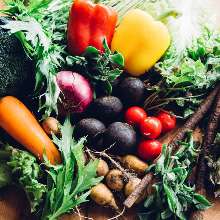 綠色鮮蔬沙拉 綠色鮮蔬沙拉